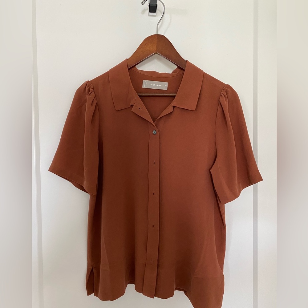 Warm rust, dark salmon silk blouse. Never worn.
